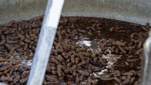 The Little River Food Truck Festival brought together great food, local vendors, and a crowd ready to enjoy a beautiful afternoon along the Grand Strand.
From sizzling grills to sweet treats, each truck offered something a little different — and plenty of reasons to come back for more.
It’s moments like these — good food, good people, and a place to gather — that remind us how simple it can be to feel right at home.