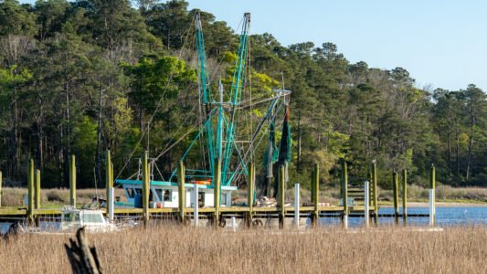 The Little River Food Truck Festival brought together great food, local vendors, and a crowd ready to enjoy a beautiful afternoon along the Grand Strand.
From sizzling grills to sweet treats, each truck offered something a little different — and plenty of reasons to come back for more.
It’s moments like these — good food, good people, and a place to gather — that remind us how simple it can be to feel right at home.