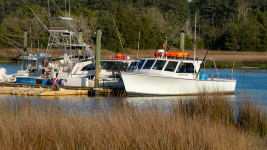 The Little River Food Truck Festival brought together great food, local vendors, and a crowd ready to enjoy a beautiful afternoon along the Grand Strand.
From sizzling grills to sweet treats, each truck offered something a little different — and plenty of reasons to come back for more.
It’s moments like these — good food, good people, and a place to gather — that remind us how simple it can be to feel right at home.